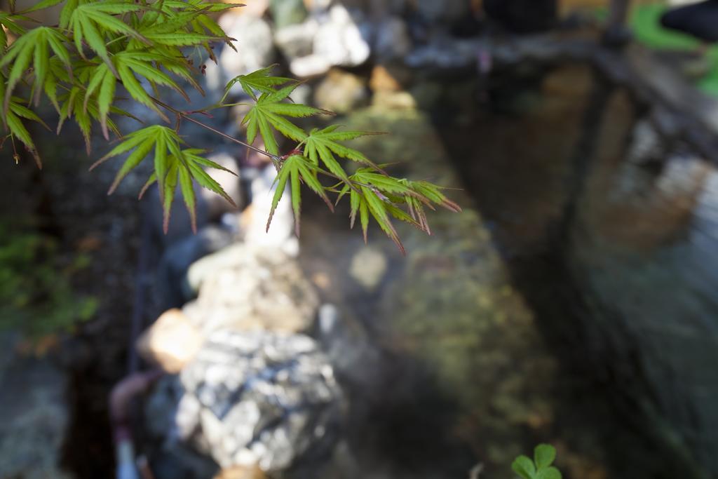 Puruke-No-Yakata Hotel Kawabata Shibetsu  Zewnętrze zdjęcie